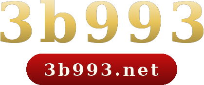 3b993 logo